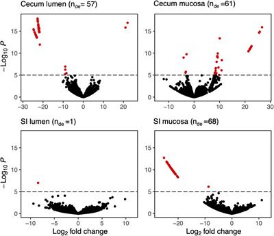 Microbial gene expression during hibernation in arctic ground squirrels: greater differences across gut sections than in response to pre-hibernation dietary protein content